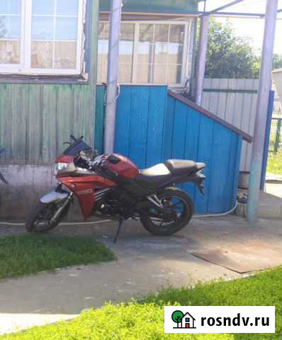 Мотоцикл Racer 250 c Троицкий - изображение 1
