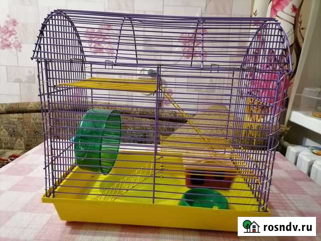 Клетка Набережные Челны - изображение 1