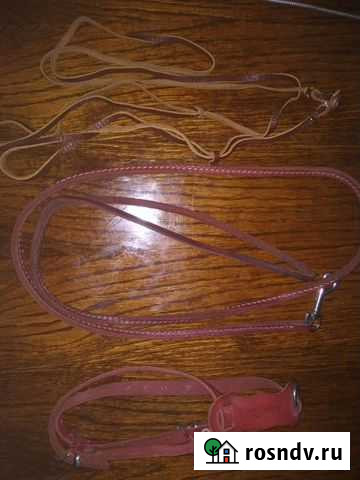 Выставочная ринговка,шлейки,поводки,расчески Евпатория - изображение 1