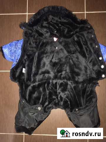 Зимний комбинезон для собак Тюмень - изображение 1