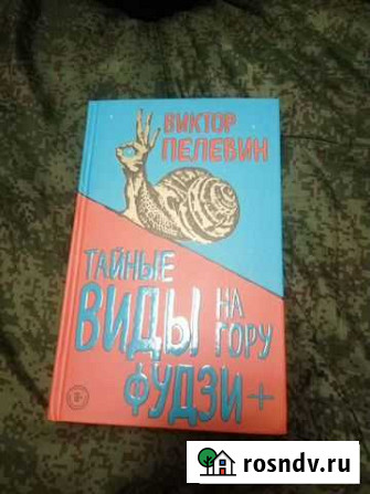 Виктор Пелевин тайные виды на гору фудзи Балашиха - изображение 1