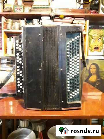 Баян Омск - изображение 1