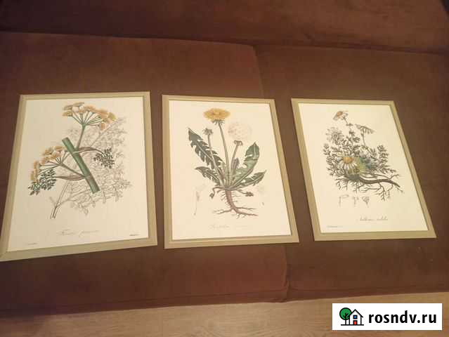 Картины,постеры в рамках 30/40 Тельмана - изображение 1