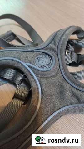 Шлейка для собаки размер s Смоленск - изображение 1