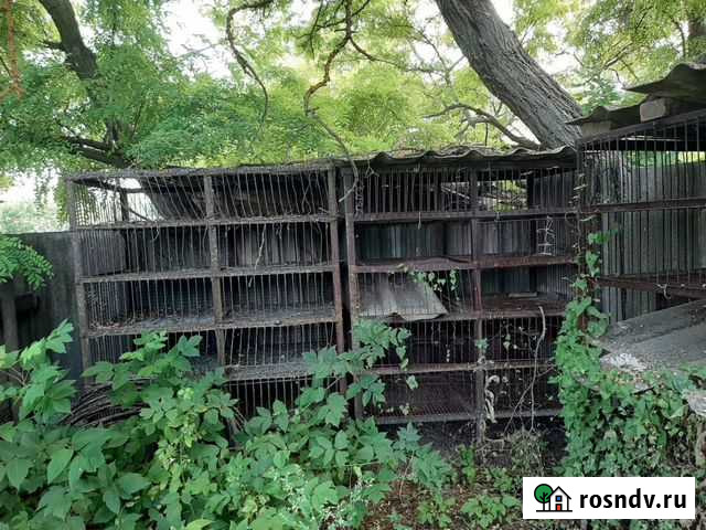 Клетки для разведения нутрий Синявское - изображение 1