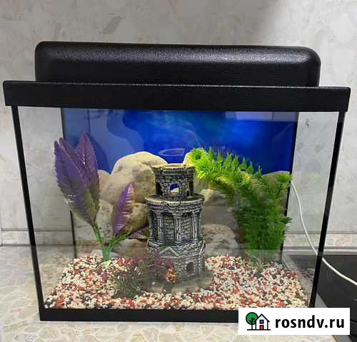 Аквариумы 30 литров Мурино - изображение 1