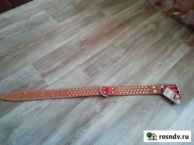 Ошейник новый Миасс - изображение 1