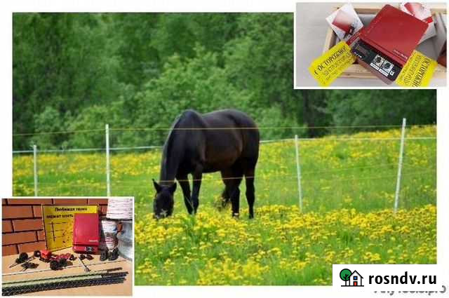 Электропастух Псков - изображение 1