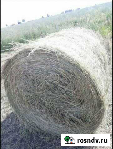 Товары для животных Ангарск - изображение 1