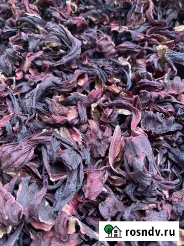 Каркаде Симоненко - изображение 1