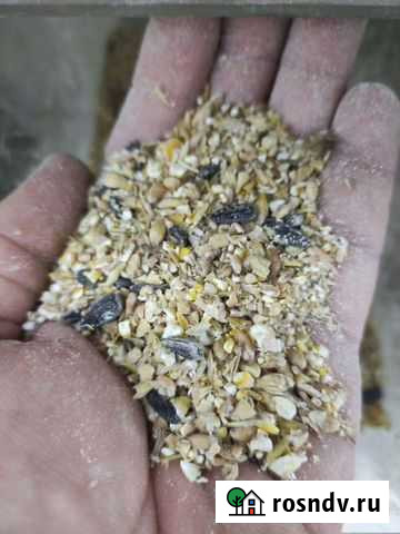 Зерносмесь Дроблённая, Доставка Дубовое - изображение 1