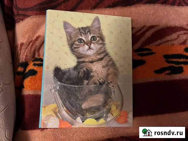 Фотоальбом новый Москва - изображение 1