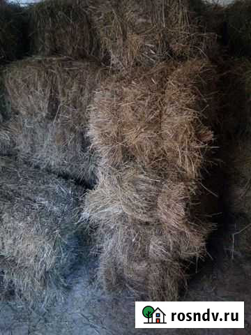 Сено в тюках Астрахань - изображение 1