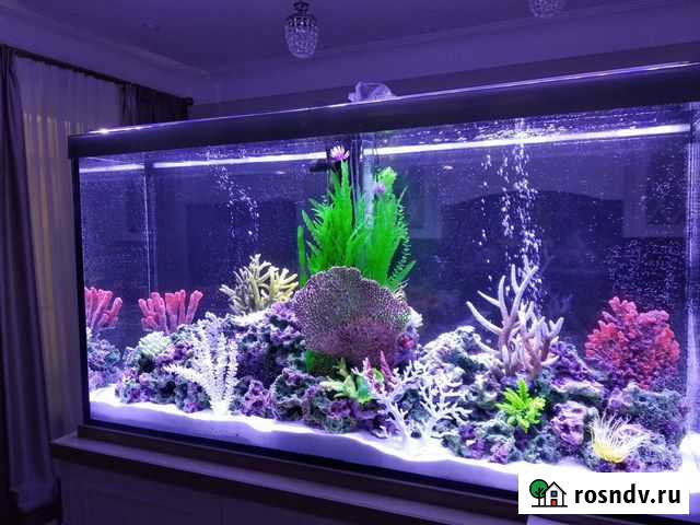 Обслуживание аквариума (чистка) Екатеринбург - изображение 1