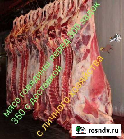 Мясо говядина Бийск - изображение 1