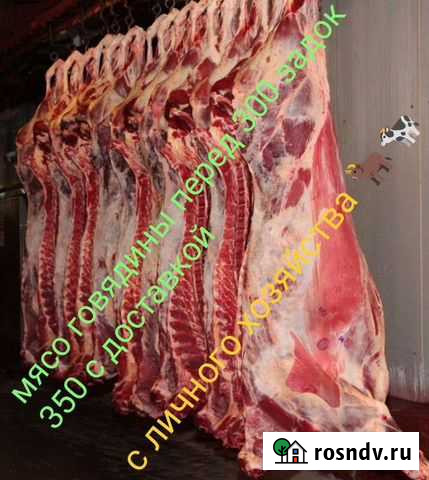 Мясо говядина Бийск - изображение 1