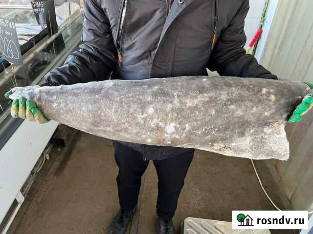 Масляная рыба свежемороженая Рыба Морепродукты Подольск - изображение 1