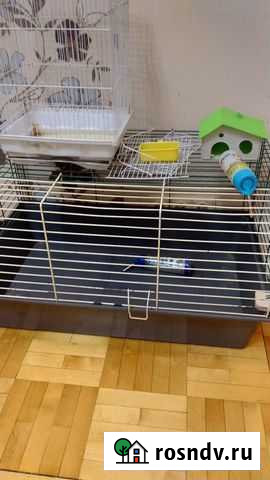 Клетки 80х50х42 + 30х24х40 Ижевск - изображение 1