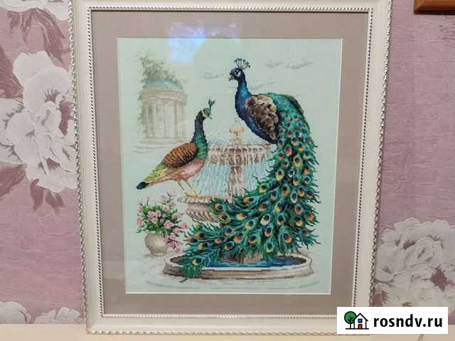 Павлин Чебоксары - изображение 1