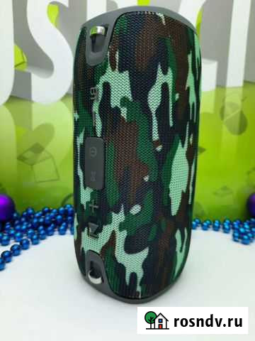 Колонка портативная Рязань - изображение 1