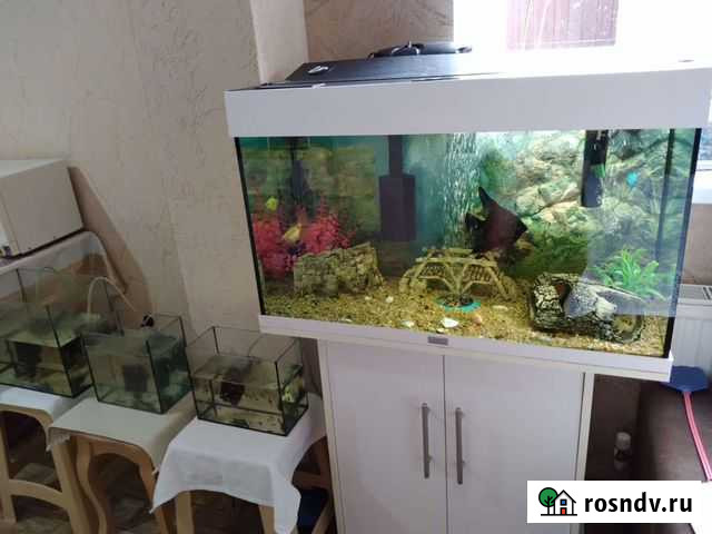 Продаю аквариум на 150 литров Краснодар - изображение 1