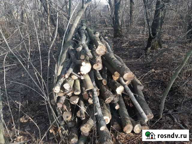 Спил деревьев распил колка дровдемонтаж построек Россошь - изображение 1
