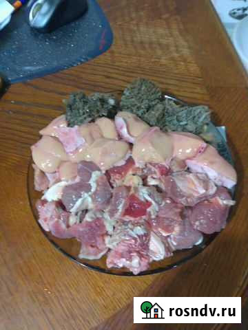 Субпродукты для собак Калуга - изображение 1