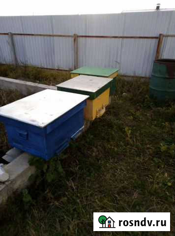 Улей лежак 16р Новая Усмань - изображение 1