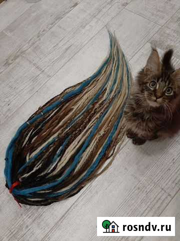 Дреды и косы Новый Уренгой - изображение 1