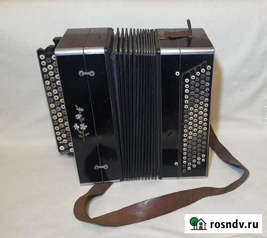 Баян Реутов - изображение 1