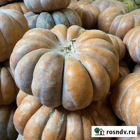 Тыква Волгоград
