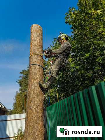 Спил, удаление, обрезка деревьев; дробление пней Ильинско-Хованское - изображение 1
