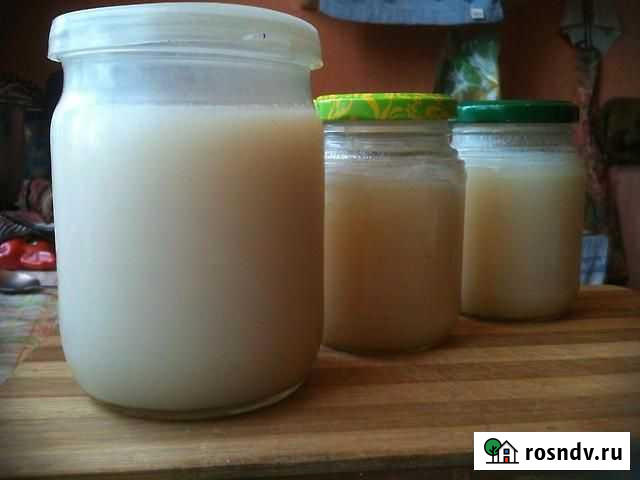 Продам барсучий жир Тверь - изображение 1