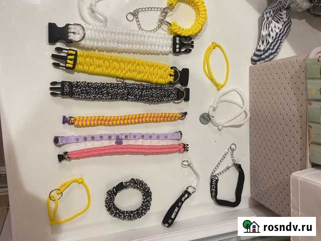 Ошейник Калуга - изображение 1