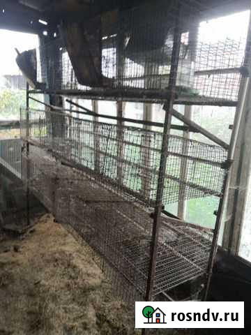 Клетка для кроликов с поилками Бийск - изображение 1