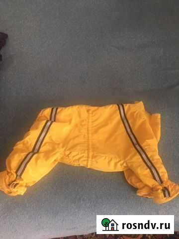 Комбинезон утепленный на собаку Тюмень - изображение 1