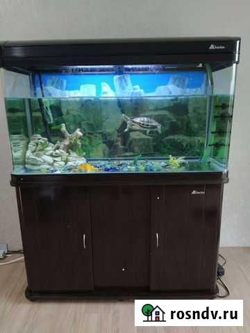 Аквариум Биробиджан - изображение 1