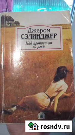 Над пропастью во ржи Мытищи - изображение 1