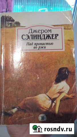 Над пропастью во ржи Мытищи - изображение 1