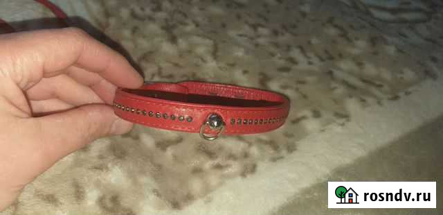 Кожанная шлейка для маленьких собак Петропавловск-Камчатский - изображение 1