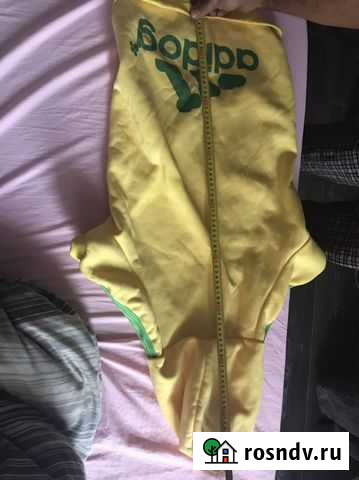 Комбинезон короткий для собаки Московский - изображение 1