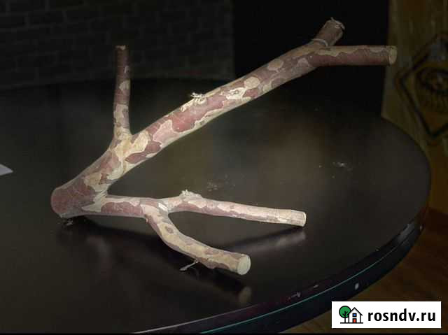 Коряга декоративная (можно в террариум) Симферополь - изображение 1