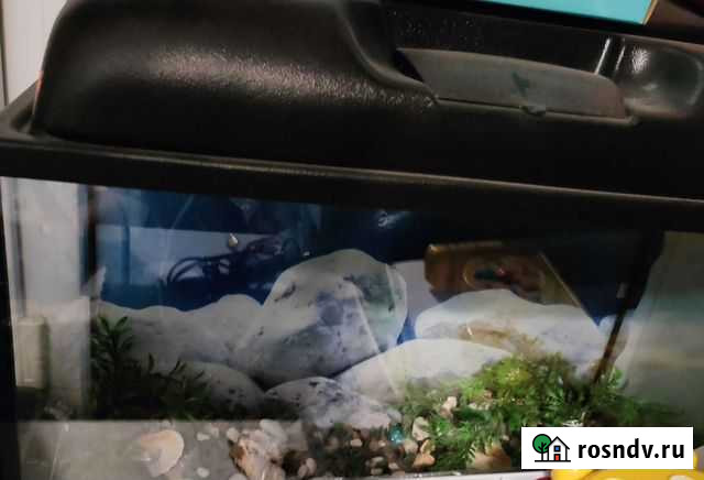 Аквариум Тверь - изображение 1