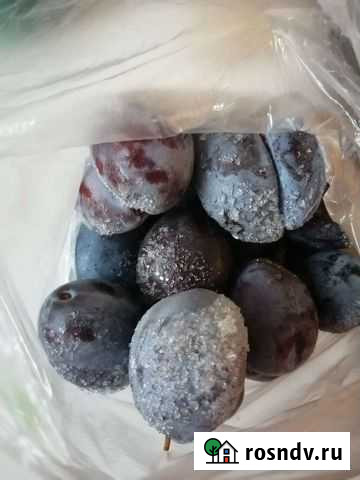 Слива замороженная Волгоград - изображение 1