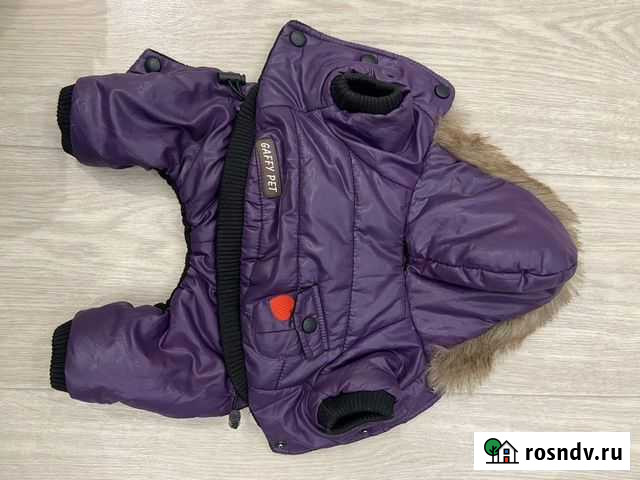 Одежда для собак Саранск - изображение 1