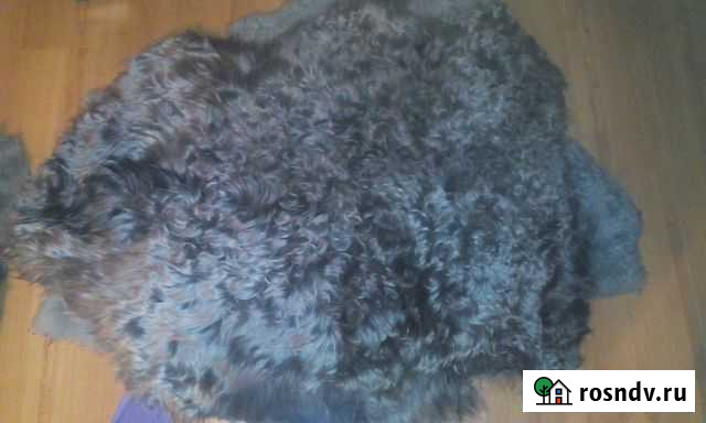 Шкура декоративная пуховой козы Ижевск - изображение 1