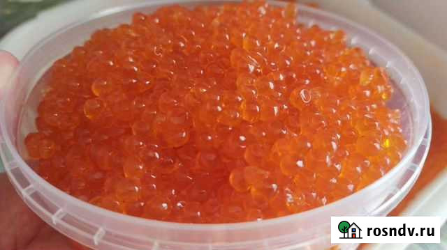 Икра кеты 4250 за 1 кгво Владивостоке Владивосток - изображение 1