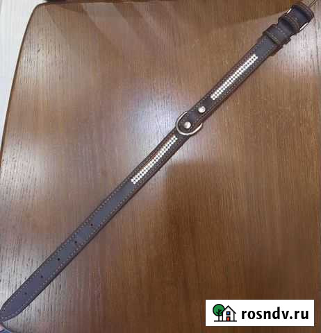 Ошейник Дарэлл кожаный со стразами (новый) Брянск - изображение 1