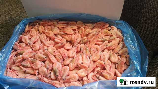 Креветка северная Набережные Челны - изображение 1