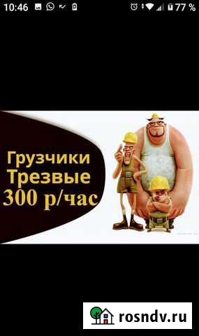 Грузчики любые работы Хабаровск - изображение 1